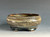 Bonsai Pot,  5 1/2" dia 25313