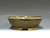 Bonsai Pot, Textured,   6 1/2" 25088