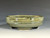 Bonsai Pot,  6 1/4" 25176