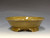 Bonsai Pot,  5 3/4" dia 25466