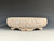 Bonsai Pot, textured,  8" 25192