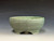 Bonsai Pot, 5 1/4" dia 26295
