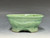 Bonsai Pot, 5 1/2" dia 25508