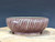 Bonsai Pot, Fluted, 6 1/2" dia 26001