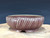 Bonsai Pot, Fluted, 6 1/2" dia 26001