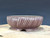 Bonsai Pot, Fluted, 6 1/2" dia 26001