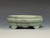 Bonsai Pot, Cloud Feet, 5" dia 26221