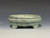 Bonsai Pot, Cloud Feet, 5" dia 26221