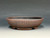 Bonsai Pot, Unglazed,  Textured,  7 3/8" 25606