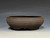 Bonsai Pot, Unglazed,  Textured,  Dark Chocolate Brown Clay, 6" 26146