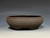 Bonsai Pot, Unglazed,  Textured,  Dark Chocolate Brown Clay, 6" 26146