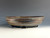 Bonsai Pot, 10" dia 25295