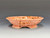 Bonsai Pot, Textured, 7 1/2" dia 25356