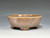 Bonsai Pot, Cloud Feet, 5 3/8" dia 25423