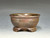 Bonsai Pot, 4 3/8" dia 25509