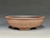 Bonsai Pot,  Cracked Finish, Unglazed,  10 1/4" 25528