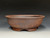 Bonsai Pot,  Iker Bonsai Pots, Cracked Finish, Unglazed,  10 1/2" 25533
