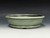 Bonsai Pot, Iker Bonsai Pots, Round, 7 5/8" 25552
