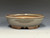 Bonsai Pot, Iker Bonsai Pots, Round, 9 3/4" 26111
