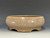 Bonsai Pot,  Cracked Finish, Glazed,  8 1/2" 25526