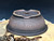 Bonsai Pot, Unglazed,  Textured,  11 1/4" dia 26075