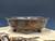 Bonsai Pot, Cloud Feet, 10 1/2" dia 26052