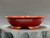 Bonsai Pot, Iker Bonsai Pots, Round, 8 5/8" 26091