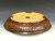Bonsai Pot, Iker Bonsai Pots, Round, 11 3/8" 26113