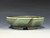 Bonsai Pot, 5 5/8" dia 26202