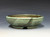Bonsai Pot, 5 5/8" dia 26202