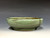Bonsai Pot, 5 5/8" dia 26202