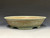 Bonsai Pot, 11 1/4" dia 26166