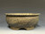 Bonsai Pot, 8 1/2" dia 26178