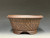 Bonsai Pot, Textured, Unglazed Semi Cascade, 7 3/4" 26247
