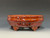 Bonsai Pot, Cloud Feet,  8" 26223