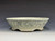 Bonsai Pot, textured, handmade by Iker Bonsai Pots, 8 5/8" dia 26253