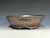 Bonsai Pot, textured, handmade by Iker Bonsai Pots, 9" dia 26254