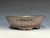 Bonsai Pot, textured, handmade by Iker Bonsai Pots, 9" dia 26254