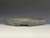 Bonsai Pot, Landscape, Forest, Raft,  12 1/2" 26280