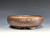 Bonsai Pot, Iker Bonsai Pots, 6" dia, 26365