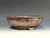 Bonsai Pot, Iker Bonsai Pots, 8 3/8" dia, 26342