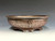Bonsai Pot, Iker Bonsai Pots, 8 3/8" dia, 26342