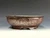 Bonsai Pot, Iker Bonsai Pots, 8 3/8" dia, 26342