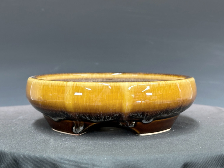 Bonsai Pot, 5 7/8" 26100