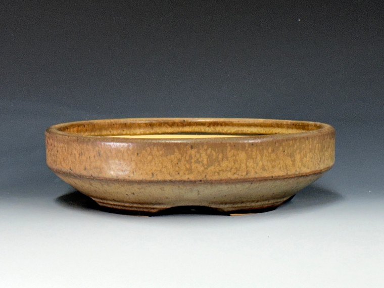 Bonsai Pot,  7 1/2" dia 24236