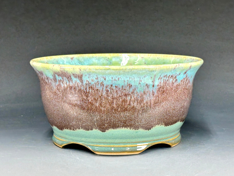 Bonsai Pot, Semi Cascade, 8 1/4" dia 25428