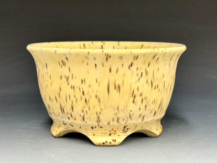 Bonsai Pot, Semi Cascade, 6 1/2" dia 25053