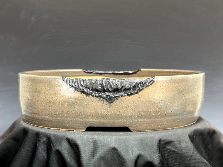 Oval Bonsai Pot, 11 3/4" 26083