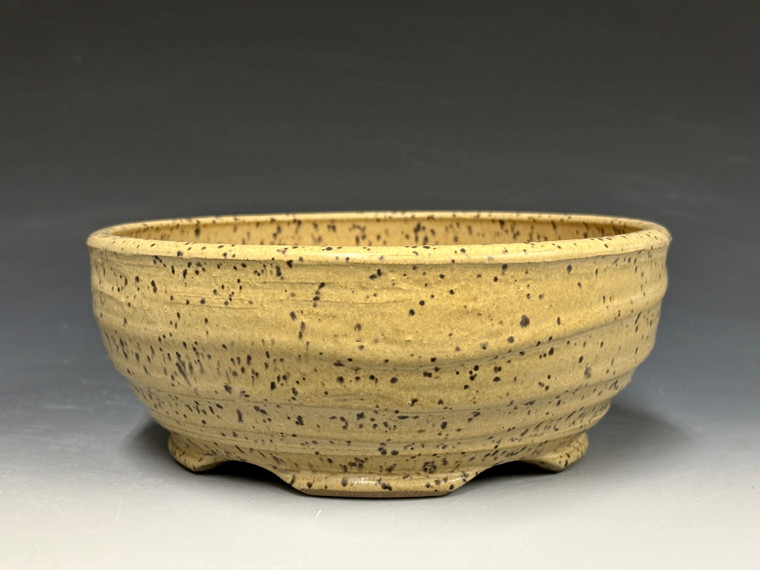 Bonsai Pot, 7" dia 26190