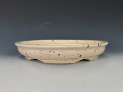 Bonsai Pot, 9 1/4" dia 23432